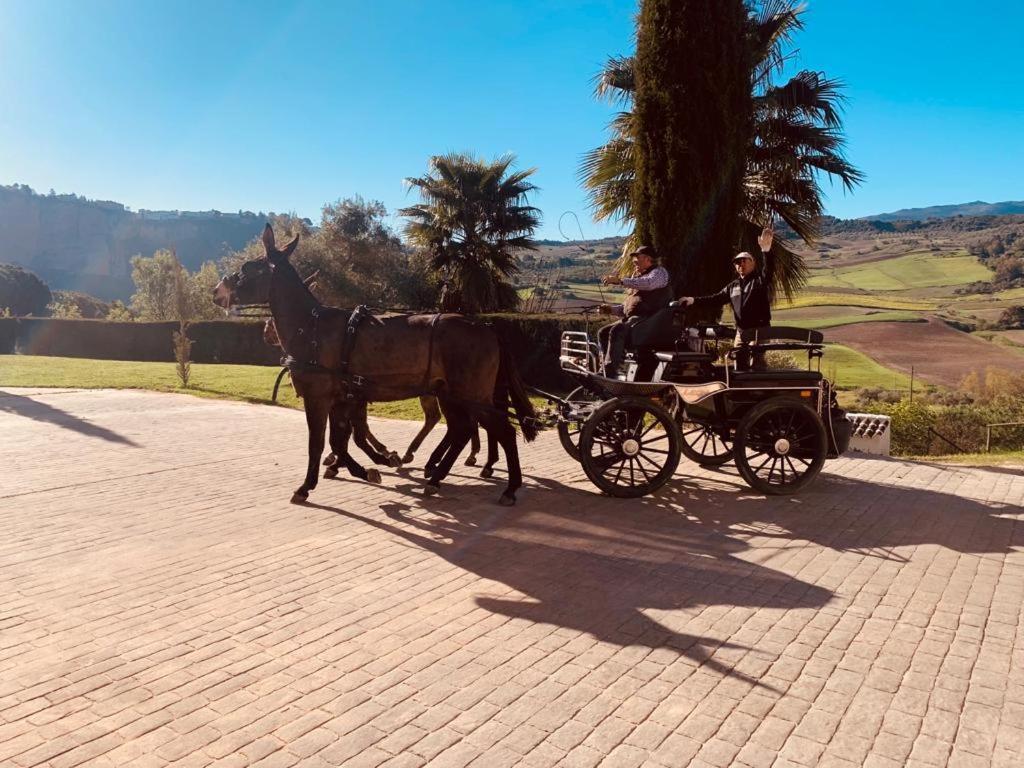 Hacienda Puerto De Las Muelas Ronda Bagian luar foto